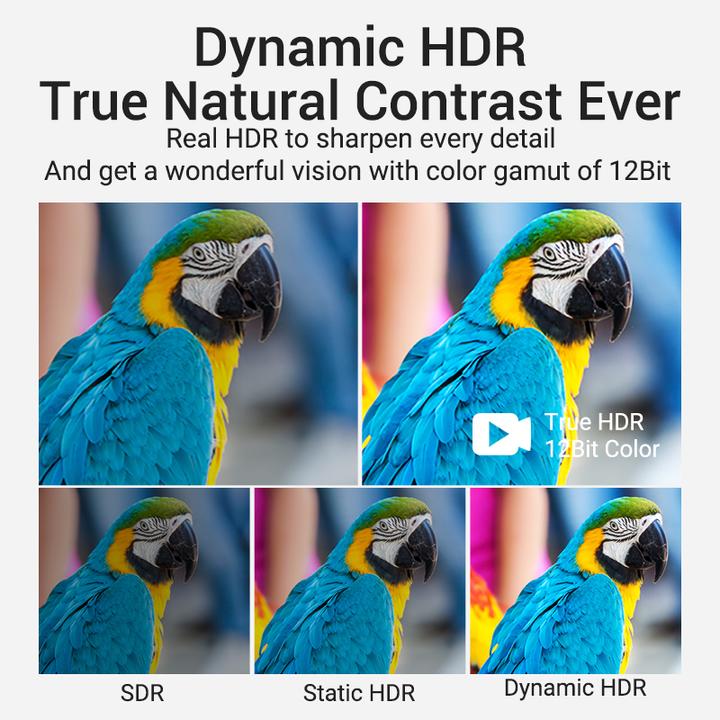 Actual product image Vention HDMI (Typ A) — HDMI (Typ A) (1 m, HDMI)