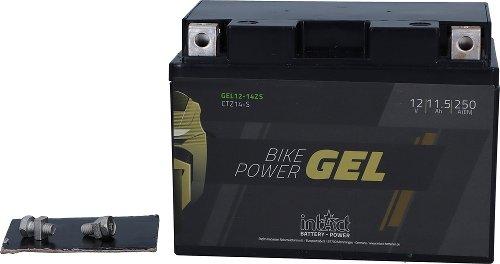 Actual product image Intact gel power (12 V, 11.50 Ah, 250 A)