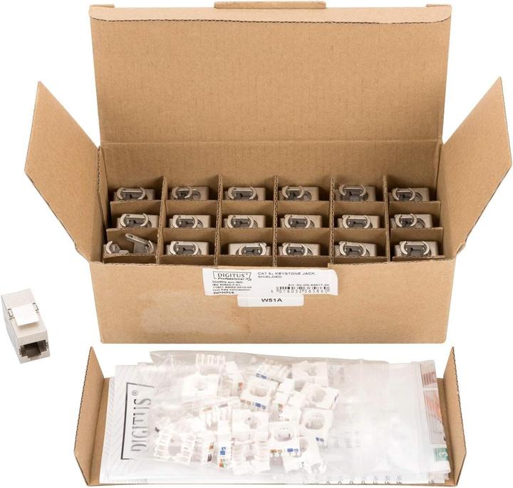 Actual product image Digitus CAT 6A Keystone Module,gesch. (Keystone module)