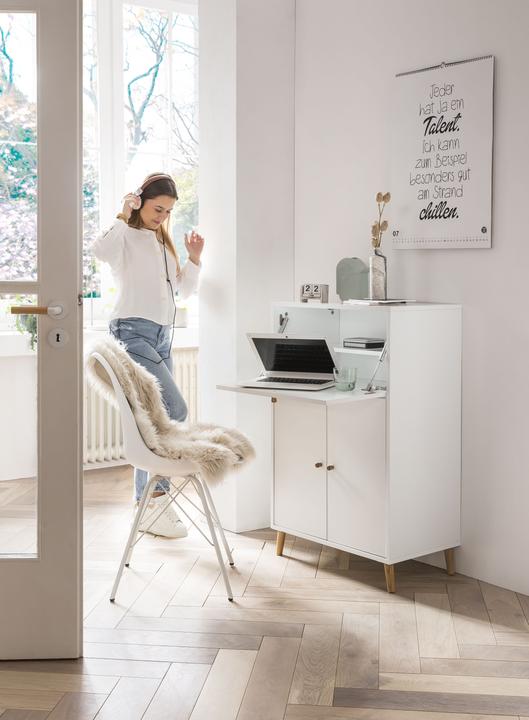 Image du produit Schildmeyer Série 500 (65.20 x 39 x 101.70 cm)