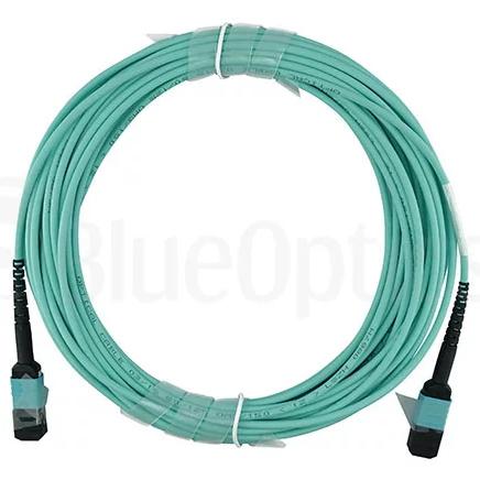 BlueOptics Dell EMC CBL-MPO12-OM3-7.5M kompatibles MPO-MPO Multimode OM3 Patchkabel 7.5 Meter (7.50 m), Netzwerkkabel