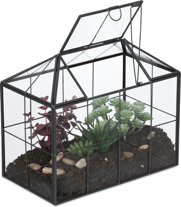Relaxdays Pflanzenterrarium