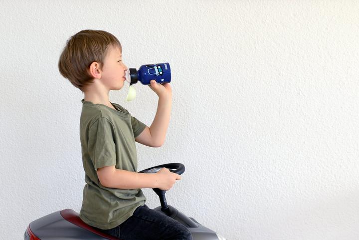Actual product image Sigg Bottles (0.30 l)
