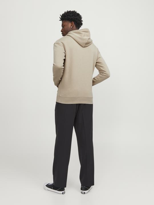 Actual product image Jack & Jones Drawstring Loopback Hoodie (M)