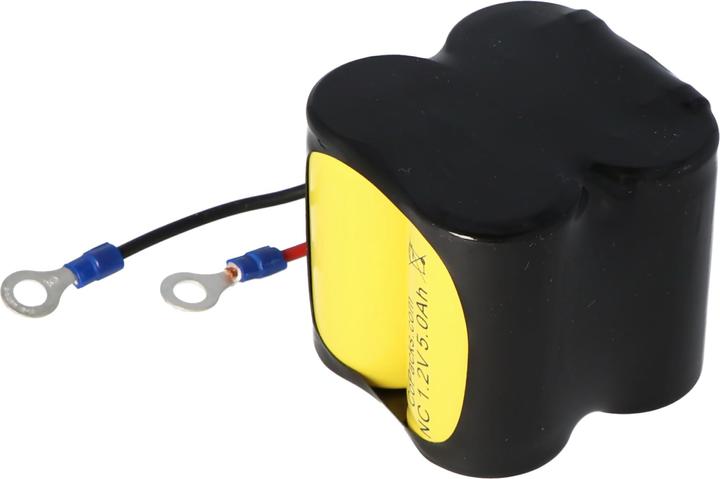 Produktbild AccuCell Akku Ceag CW270
