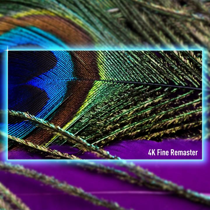 Produktbild Panasonic TV-55Z85AEG (55", OLED, 4K, 2024)