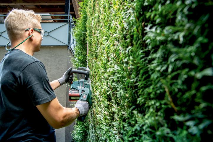 Image du produit Metabo HS 18 LTX BL 65 (Taille-haies sans fil)