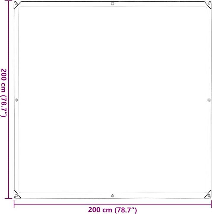 Immagine prodotto vidaXL Telone trasparente con occhielli 2x2 m telone trasparente in polietilene (200 x 200 cm)