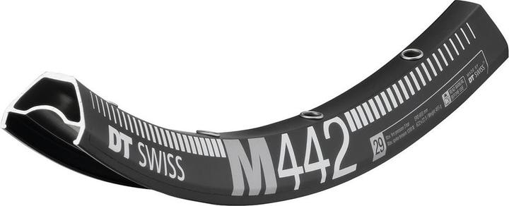 Image du produit DT Swiss M 442 (29")