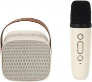 Actual product image Party karaoke design speaker and microphone