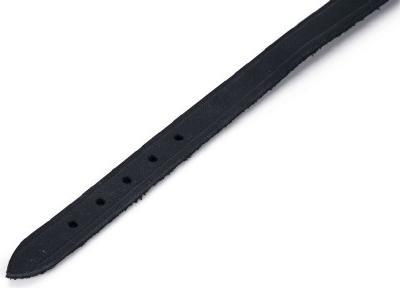 Produktbild Beeztees BZ LEDERHALSBAND SCHWZ 42X16 (42, Hund, Allgemein)