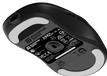 Actual product image Endgame Gear XM2w 4k (v2) - Wireless Gaming Mouse - Black (Wireless)