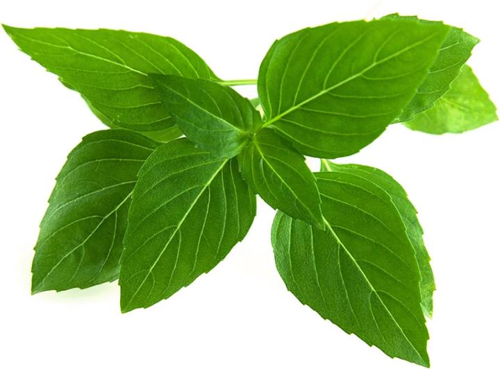 Actual product image Click and Grow Thai Basil (Herb seeds)