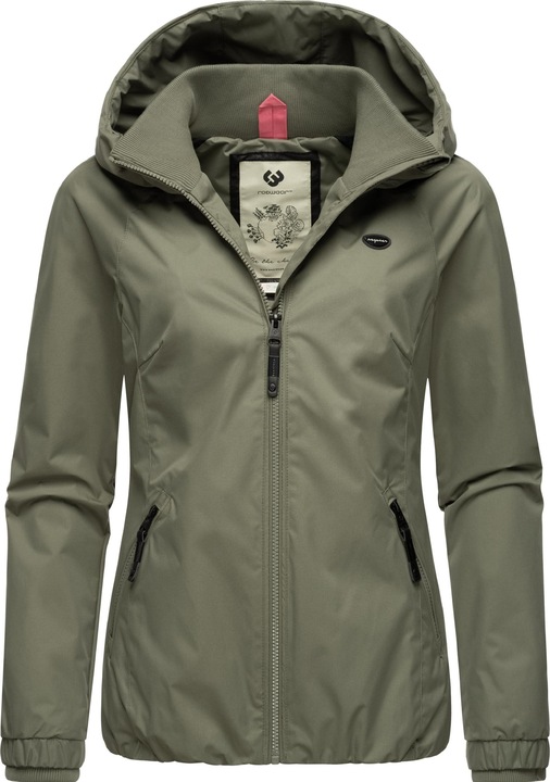 Olive024