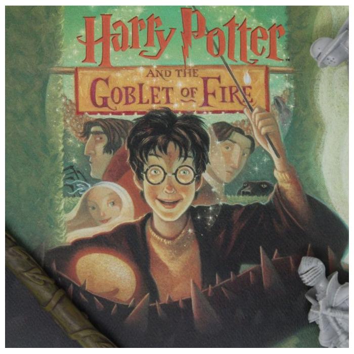 Thumbnail - Fanattik, Bilder, Harry Potter: Goblet of Fire Book Cover Artwork (42 x 30 cm)