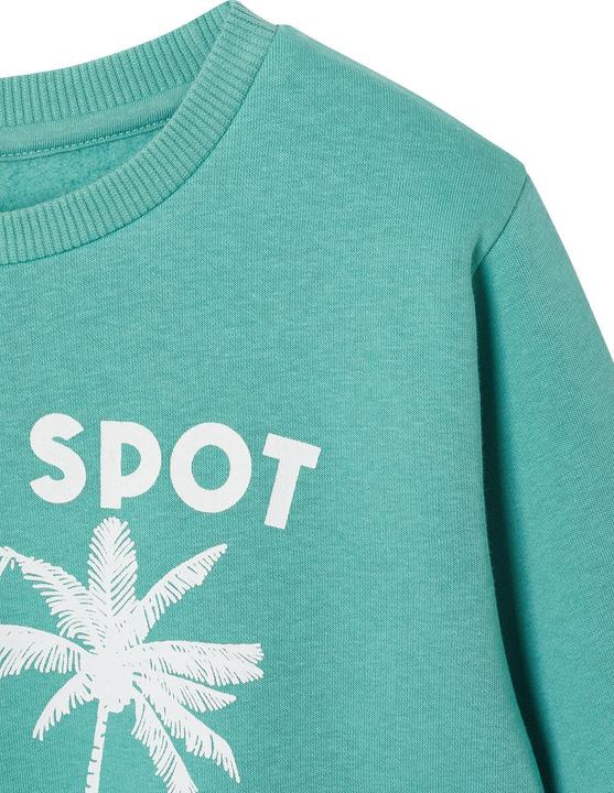 Image du produit Vertbaudet Sweatshirt Jungen mit Print BASIC (128)