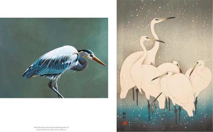 Actual product image Vögel in der Kunst (German, Kendra Wilson, 2020)