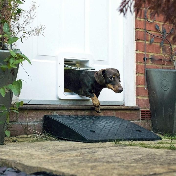 Actual product image Sure PetCare Microchip pet flap (Microchip Cat Flap)