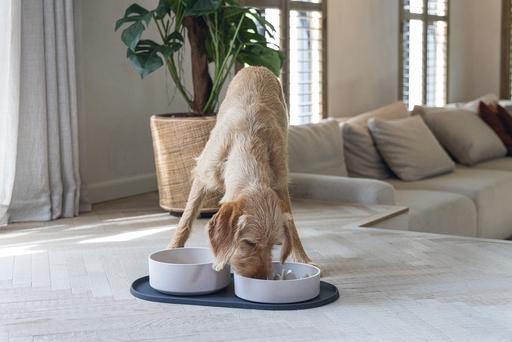 Actual product image Designed by Lotte Noor dog bowl (1.43 l)