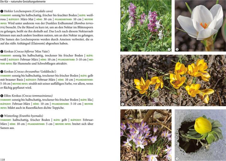 Immagine prodotto Unser naturnaher Kleingarten (Tedesco, 2024)