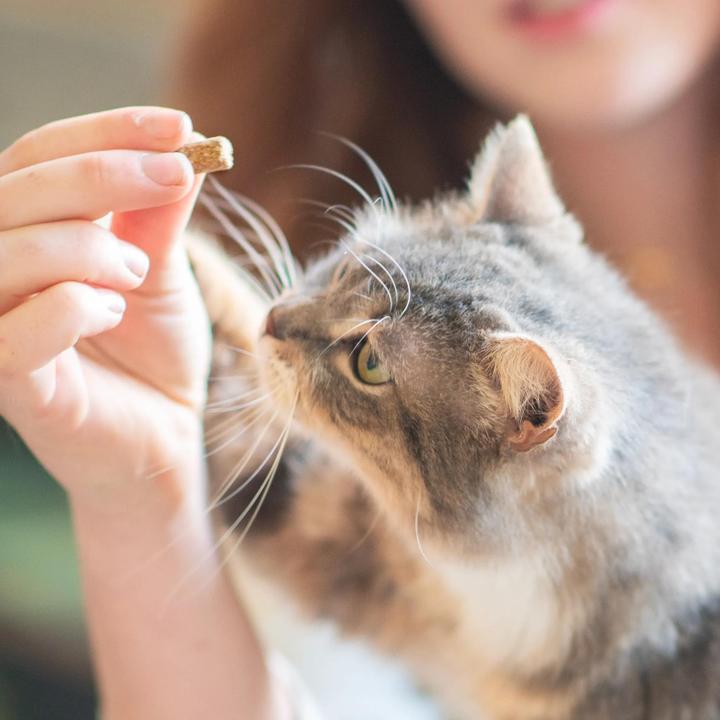 Image du produit Ultra Premium Direct Friandise apaisante pour les chats (Senior, Adulte, Junior, 40 g)