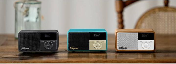 Immagine prodotto Sangean DDR-7X (DAB, FM, Bluetooth)