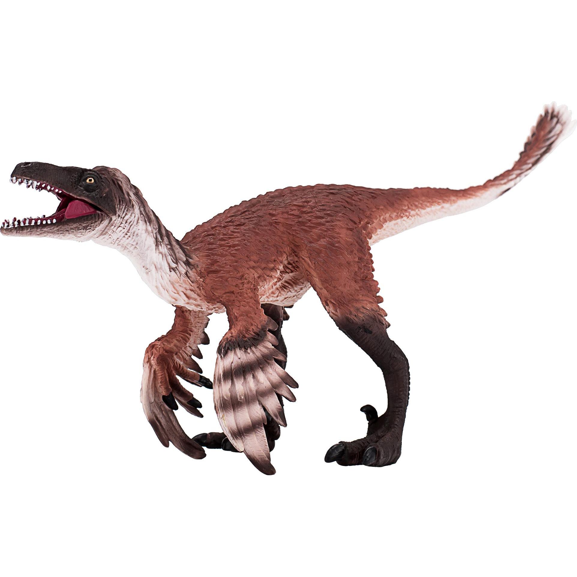 small foot Troodon mit Gelenkkiefer (387389)