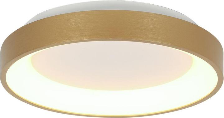 Image du produit Steinhauer Deckenleuchte Ringlede (2400 lm)