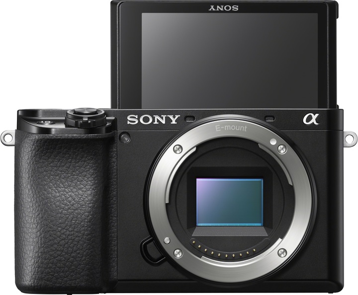 Sony Alpha 6100 (24.20 Mpx, APS-C / DX)
