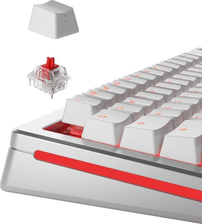Actual product image Glorious Mechanical Switches (110pcs) - Fox - Lubed (Linear) 45g