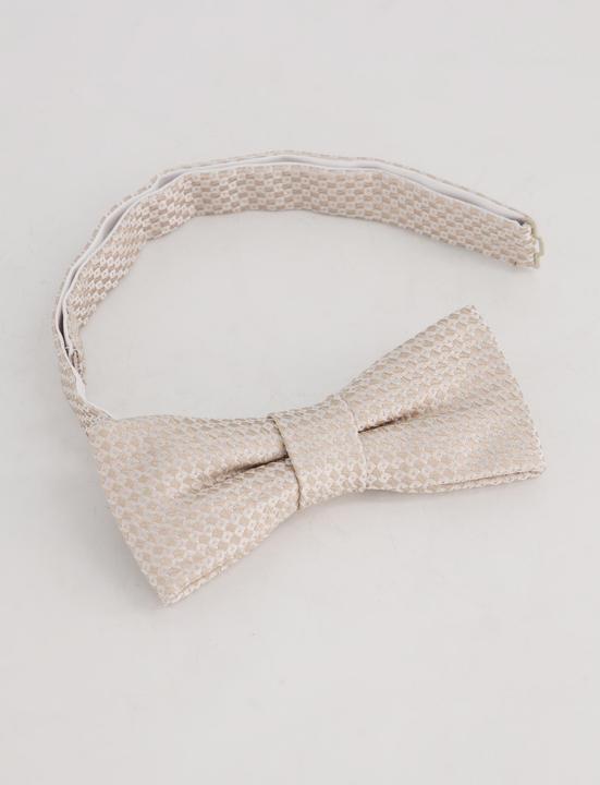 Produktbild JP1880 Set, Fliege und Einstecktuch