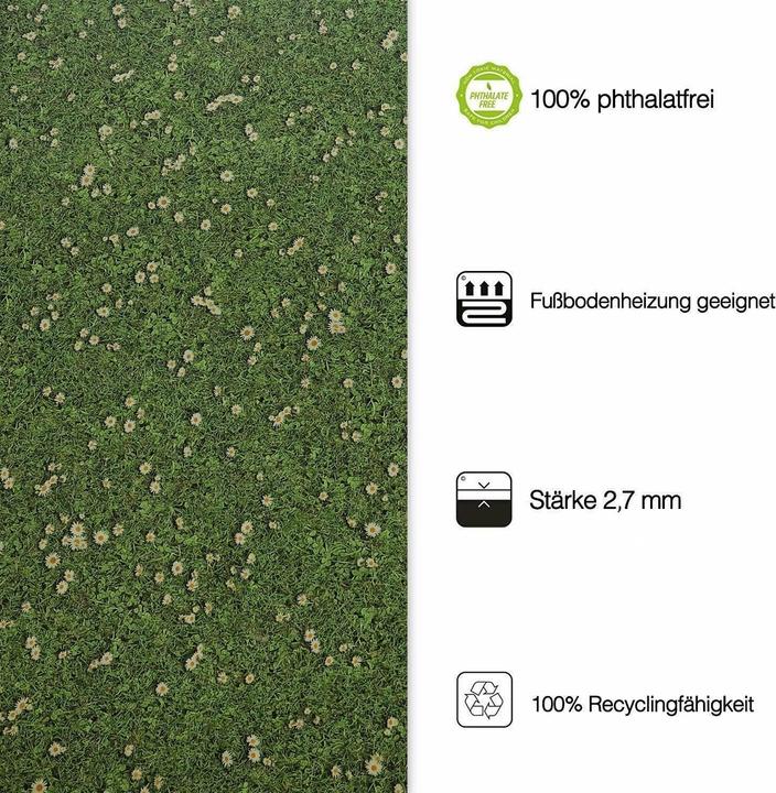 Image du produit Karat Daisies