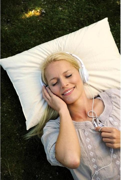 Immagine prodotto Sissel Cuscino di farro Palea (40 x 60 cm)