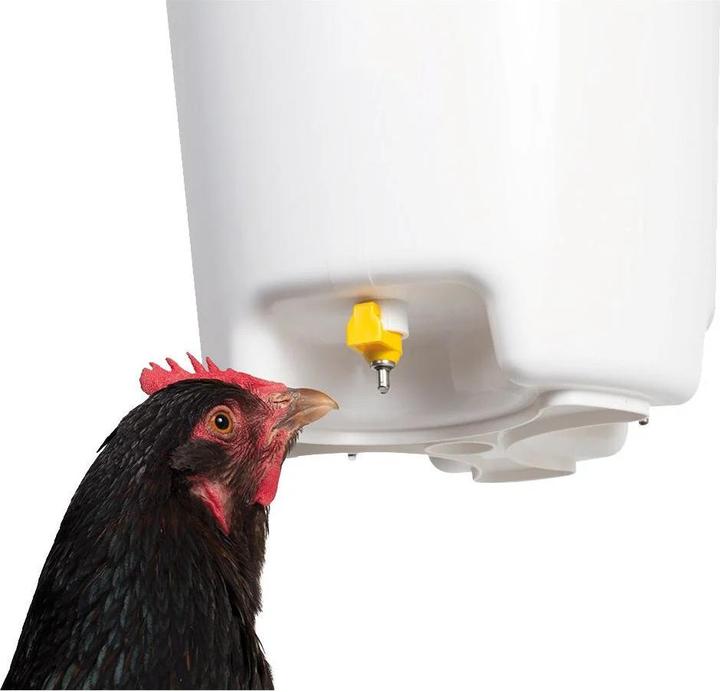 Actual product image Siepmann Drinking bucket with drinking nipple 12 litres