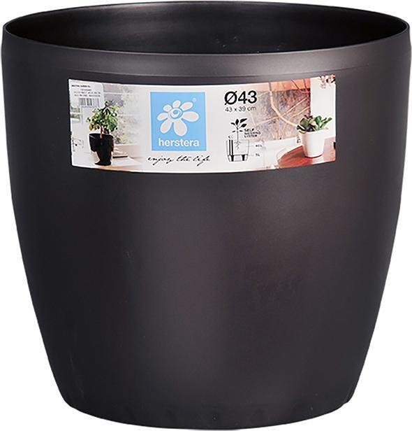 Herstera Cassa Matt Vase