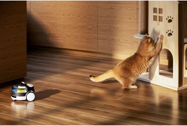 Produktbild Enabot ROLA PetPal Interactive Toys (Beschäftigungsspielzeug Katze)