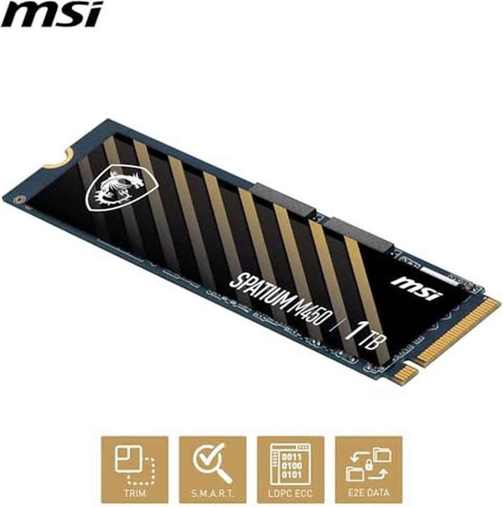 Actual product image MSI Spatium M450 (1000 GB, M.2 2280)
