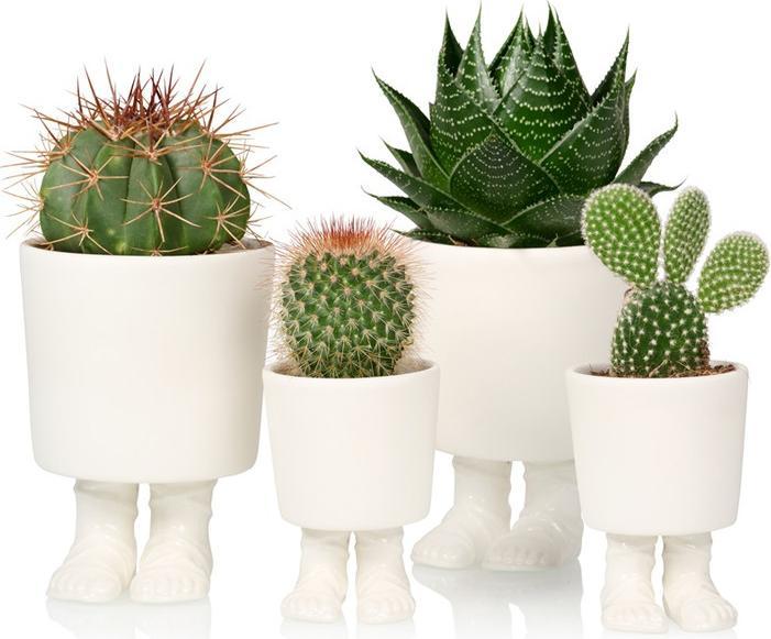 Produktbild Bitten Gladiator Sandal Planter Large