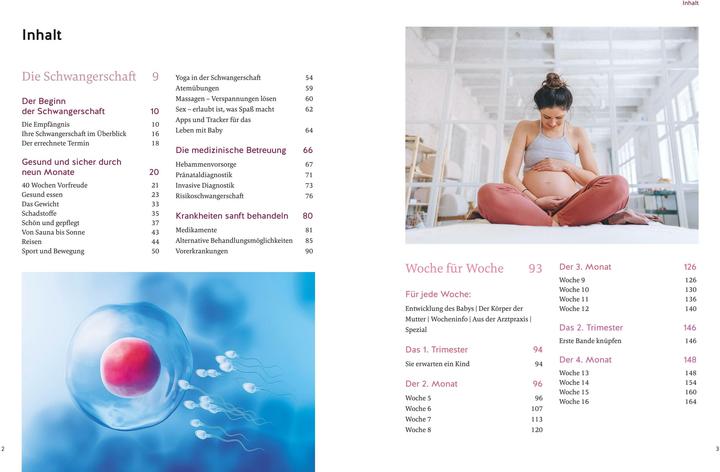 Produktbild Das grosse Buch zur Schwangerschaft (Deutsch, Franz Kainer, Annette Nolden, 2025)