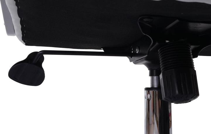 Actual product image Swisshandel24 Professional office chair XXL (51 - 60 cm)