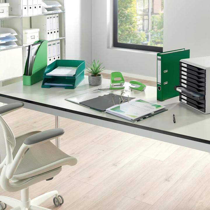 Actual product image Leitz Folder (A4, 80 mm, 20 pcs.)