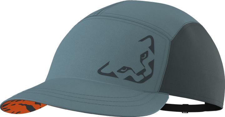 Actual product image Dynafit Alpine (One size)