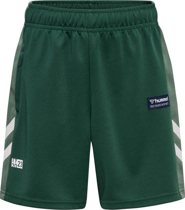 Produktbild hummel hmlRUPHUS SHORTS (110)