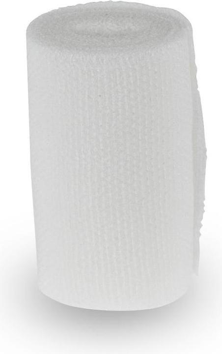 Actual product image DermaPlast Stretch