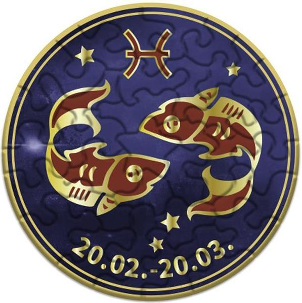 Actual product image Bärenpresse Curiosi Puzzle - Sternzeichen Fische