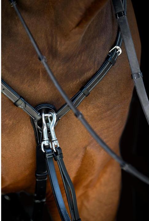 Image du produit Catago Collier de chasse pour cheval