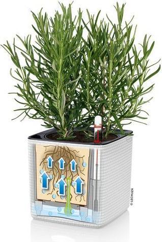 Actual product image Lechuza Cube Cottage (49 x 49 x 49.50 cm)