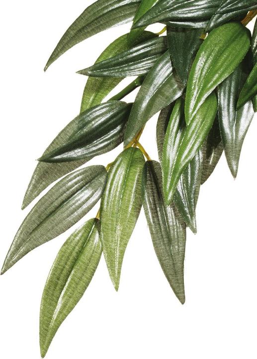 Productafbeelding Exo Terra Exoterra - RUCUS M