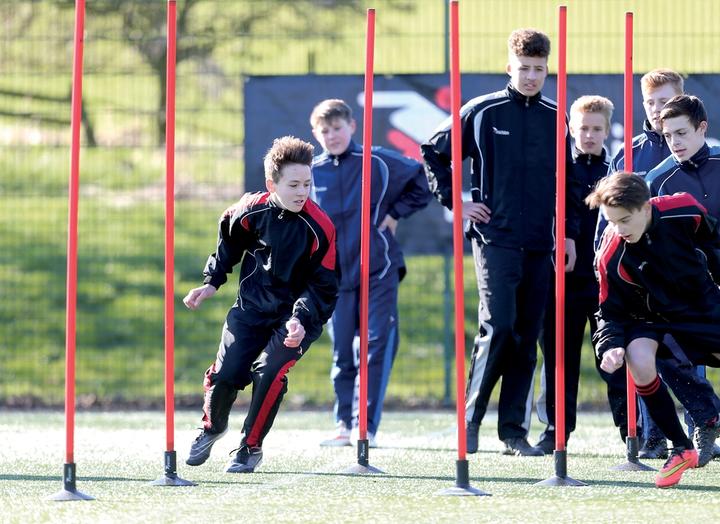 Actual product image Precision limit rods (set of 12) Red