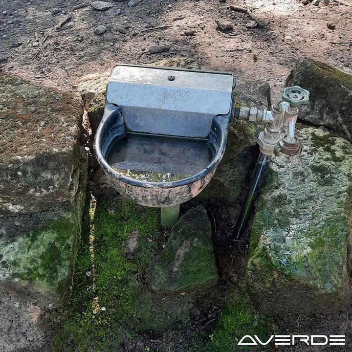 Image du produit Suevia Abreuvoirs modèle 340